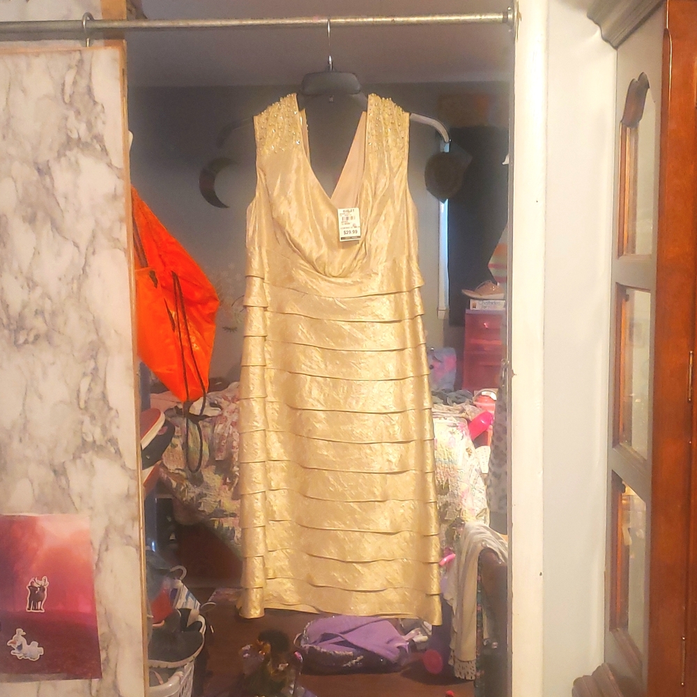 Jessica Howard size 10 gold dress